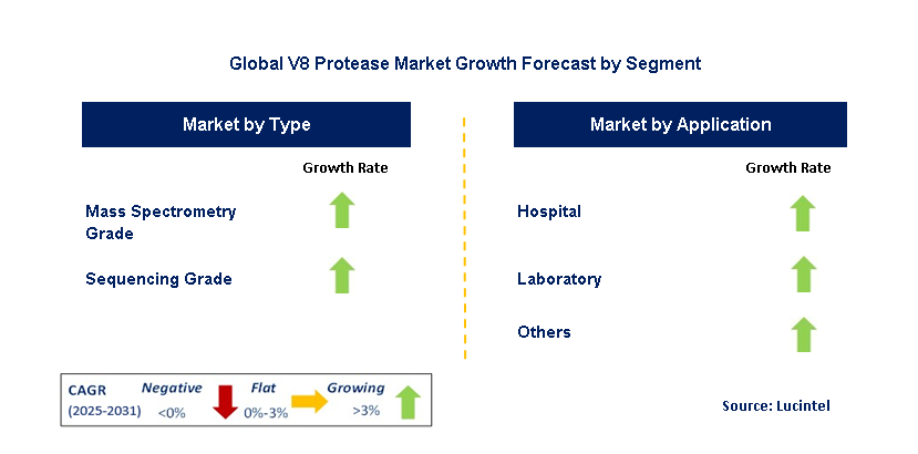 V8 Protease Market by Segment
